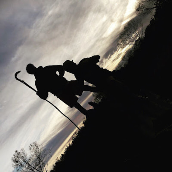 Meet your Posher, Sam - Picture 1 of 1